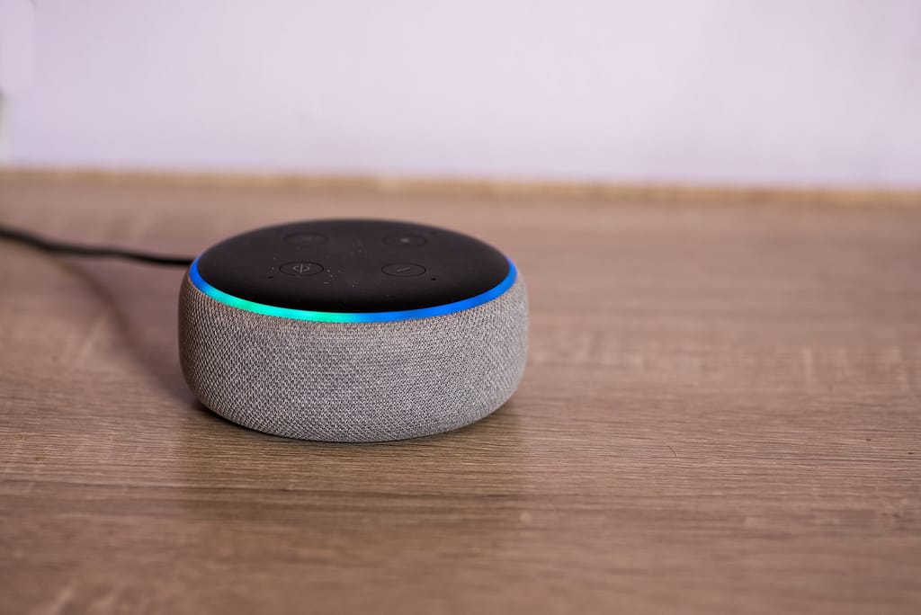 Everything You Need To Know About The Future Of Voice Search